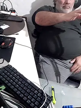 Show de 12Paradarte na webcam