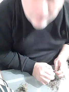 12Paradarte webcam show