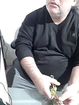 Živý XXX chat 12Paradarte