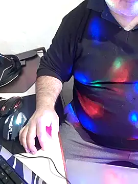 Show de 12Paradarte na webcam