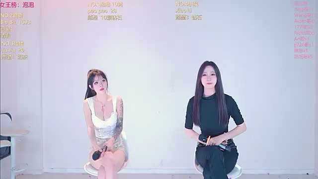 IVE-111 网络视讯表演
