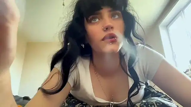 SoagAlexa Show in webcam