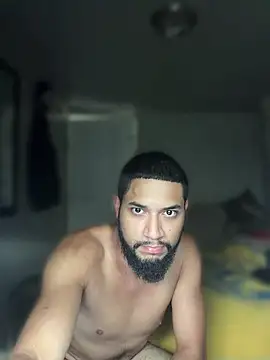 Show webcam de chamelit00
