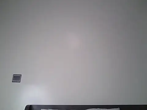 Živá chatovací místnost Alevic_