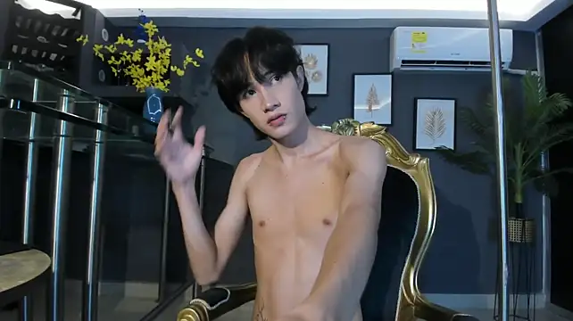 Johan_Lee Webcam-Show