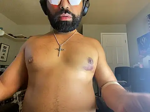 Show webcam de MikPapi