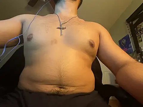 Show Webcam de MikPapi