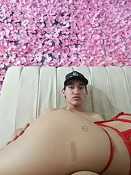 elver1308 webcam show