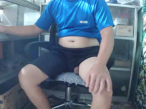 Show webcam de Trai-zin