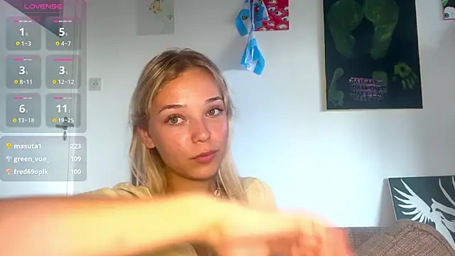Kassejentn Webbikameraesitys