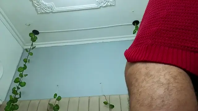 velvetkai Webcamshow