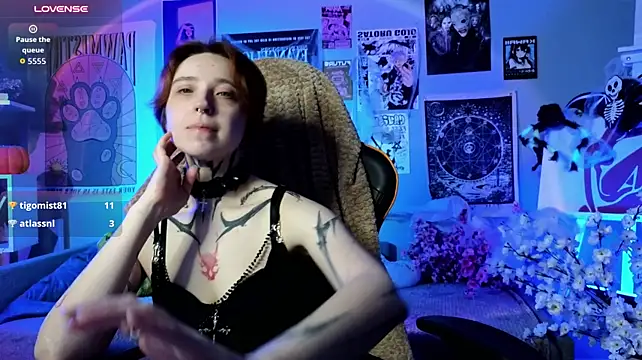 Chat +18 de vixen_noir ao vivo