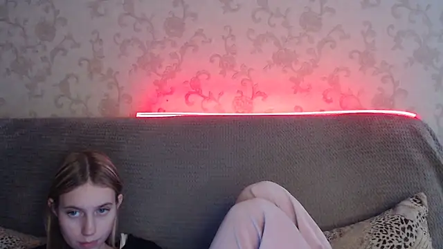 ModelPi Webcam show