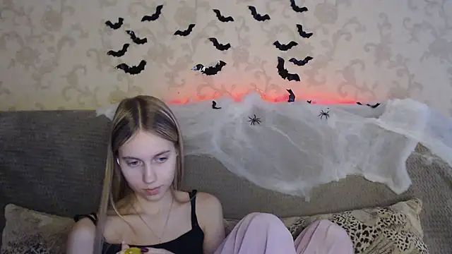 ModelPi webcam show