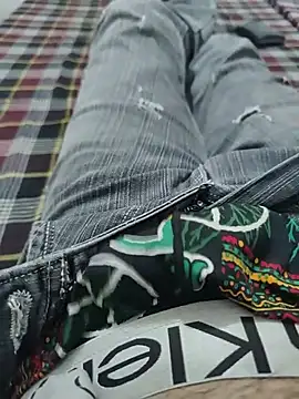 HARDDICC98 Webcam-Show