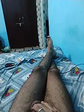RksHub_01 Show Webcam