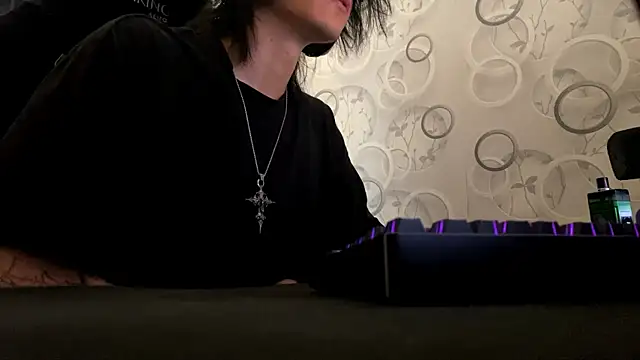 dickowenssn Webbikameraesitys