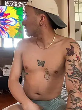 Alexander_Klainn Webbikameraesitys