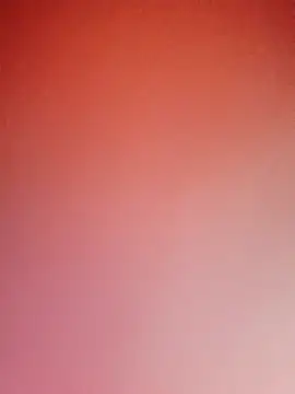 Bella-lynlyn Live Chatraum