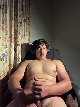 Show Webcam de becv21