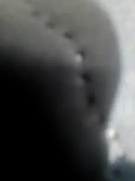 הופעת וובקאם של bch1045