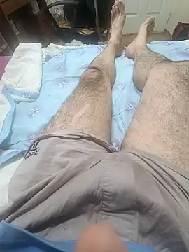 Show Webcam de bch1045