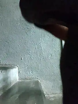 raiad Pertunjukan Webcam