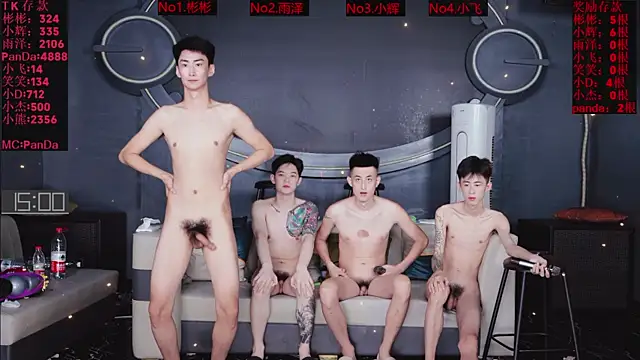 Show webcam de SX-001