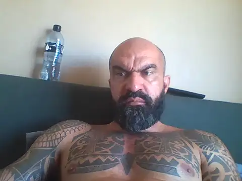 Show modela POBSB na web-kameri