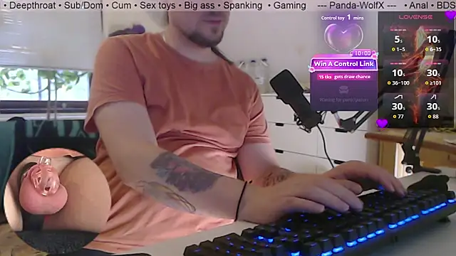 Show de Panda-WolfX na webcam
