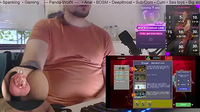 Show de Panda-WolfX na webcam