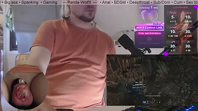 Panda-WolfX webcam show