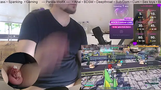 Show Webcam de Panda-WolfX