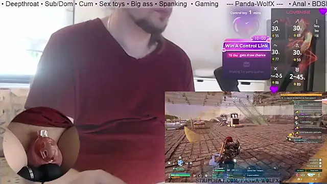 Panda-WolfX webcam show