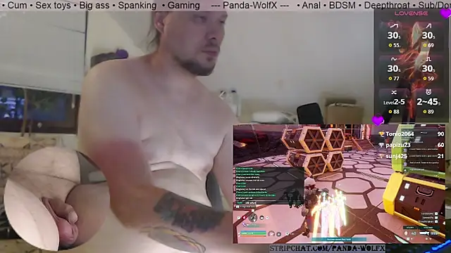 Panda-WolfX – webcam-show