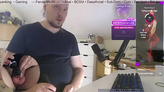 Show Webcam de Panda-WolfX