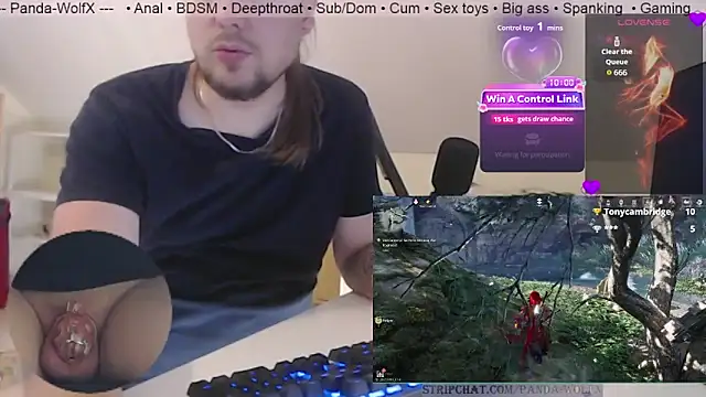 Panda-WolfX Webcam Show