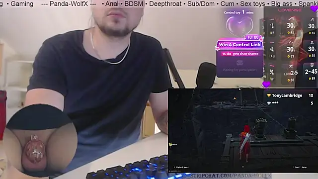 Panda-WolfXn Webbikameraesitys