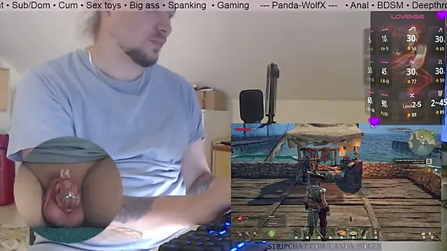 Show webcam de Panda-WolfX