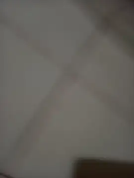pito18cm Webcam-Show