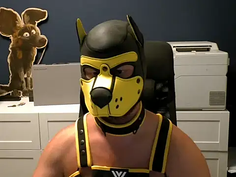 โชว์เว็บแคมของ WildyLynx