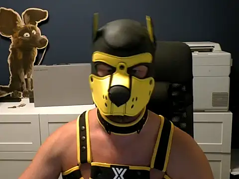 Вебкам-шоу WildyLynx