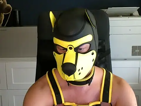 Webkamerová show WildyLynx
