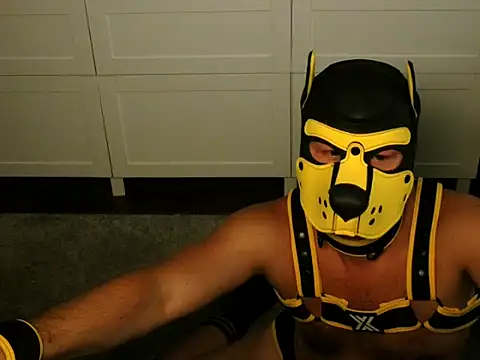 Show Webcam de WildyLynx