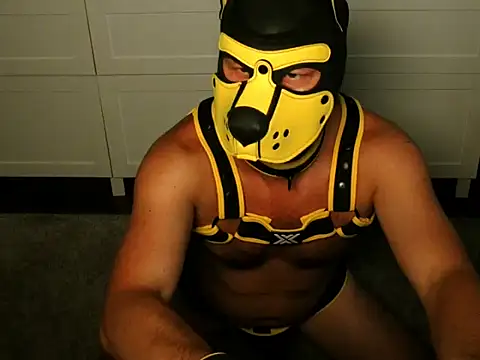 Show Webcam de WildyLynx