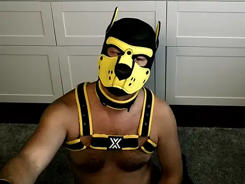 Show de WildyLynx na webcam