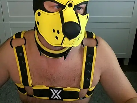 WildyLynx 网络视讯表演