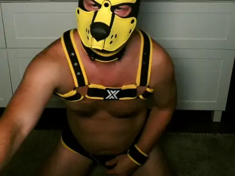 WildyLynx 网络视讯表演