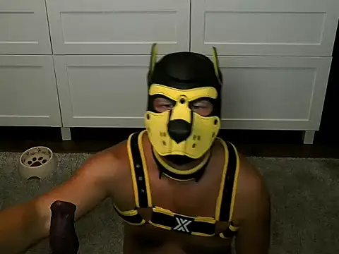 Show Webcam de WildyLynx