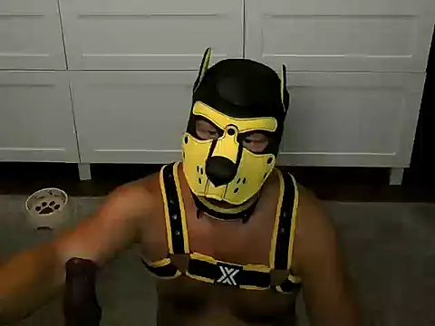 عرض كام WildyLynx
